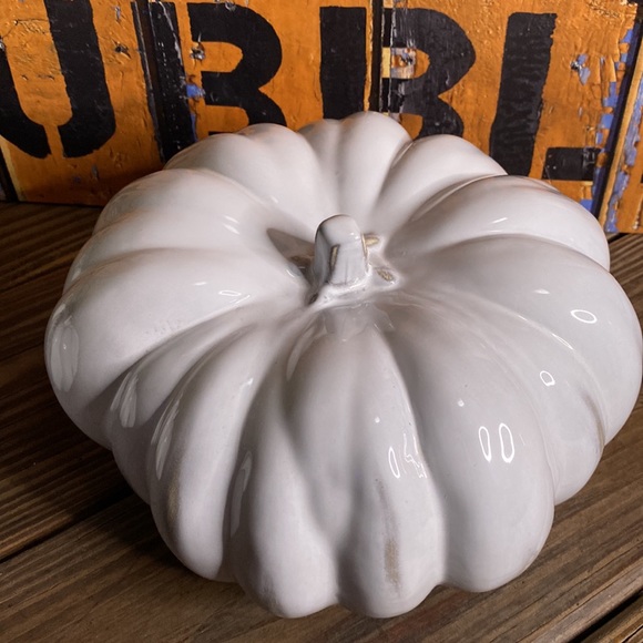 Crate&Barrel White Hand Glazed Ceramic Pumpkins - Set of Two - Medium and Small - Picture 6 of 16